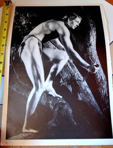 lot 90 image: HOLLYWOOD LEGEND - DS PORTRAIT BOOK PHOTO JOHNNY WEISMILLER & BRIDGET BARDOT - 12 X 16 - READY TO FRAME