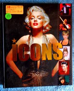 lot 184 image: RARE HARDCOVER -  ICONS (Focus on Series) by Igloo Books Ltd