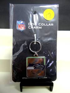 lot 17 image: OFFICIAL NFL LICENSED SEATTLE SEAHAWKS DOG COLLAR CHAIN OR KEYCHAIN