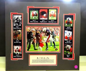 lot 57 image: UGA - MASCOT OF GEORGIA BULLDOGS WALL DISPLAY - READY TO HANG