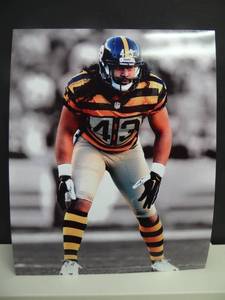 lot 113 image: PROFESSIONAL COLOR DROPPED 8 X 10 PHOTO - PITTSBURGH STEELERS TROY POLOMALU
