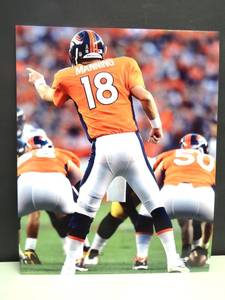 lot 209 image: PROFESSIONAL 8 X 10 PHOTO - DENVER BRONCOS PEYTON MANNING