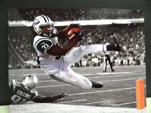 lot 256 image: PROFESSIONAL DROP COLOR 8 X 10 PHOTO - NEW YORK JETS CHRIS IVORY