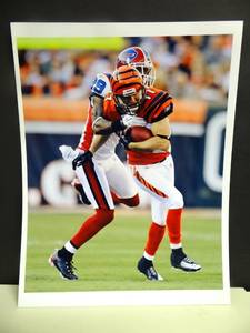 lot 300 image: CINNCINNATI BENGALS JORDAN SHIPLEY 8 X 10 PHOTO READY TO FRAME