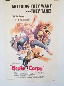 lot 38 image: Movie Posters from closed theatre in New Braunfels, Texas