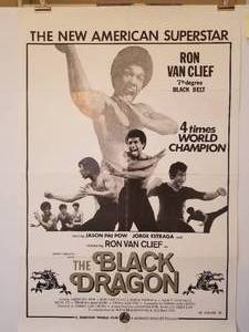 lot 59 image: Movie Posters from closed theatre in New Braunfels, Texas