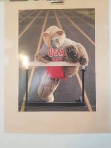 lot 141 image: Art poster series - USA Bear