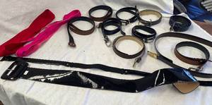 lot 747 image: Belts
