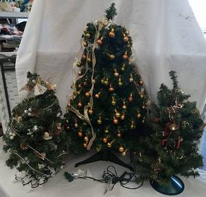 lot 848 image: Small Christmas trees