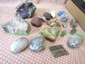 lot 204 image: Assorted unprocessed precious stones including Petrified wood, Tiger eye slab, Azurite rock, Agates and Jaspers