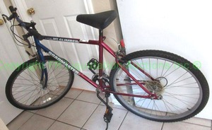 lot 263 image: Roadmaster mountain climber mountain bike