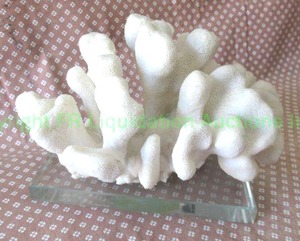 lot 295 image: Coral piece on display stand, approx 9 wide