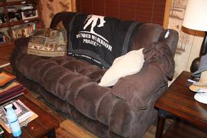 lot 134 image: Dual Reclining Plush Couch by Oupeng Furniture Co. with Blankets and Pillows