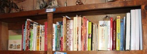 lot 154 image: Books on Shelf mostly Cooking and Grilling Books