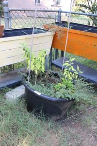 lot 192 image: Large Black Planter