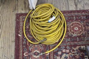 lot 292 image: Air Compressor Hose
