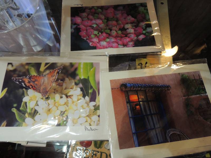 lot 96 image: 3 photos window of times spring tim...