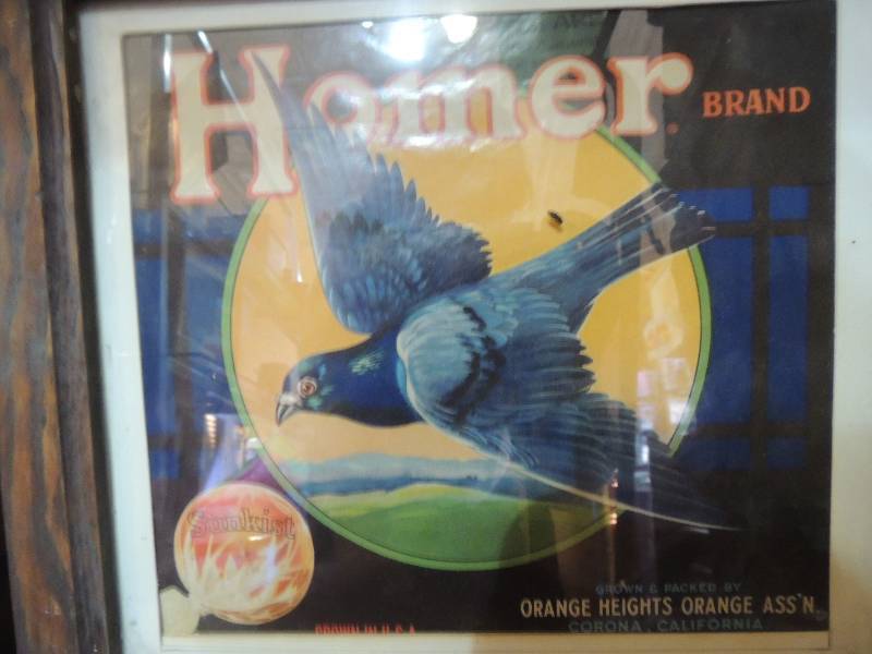 lot 110 image: Homer Brand  Orange Heights Orange ASSN.  Sunkist  FRUIT LABEL