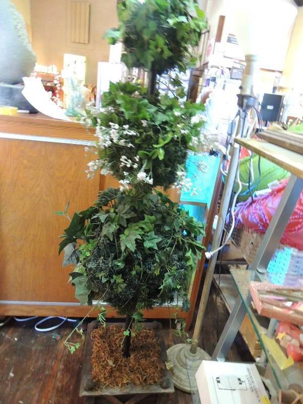 lot 130 image: Topiary Plant with Medal frame - 62