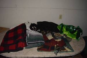 lot 127 image: Assortment of Throw Blankets including frog sleeping bag