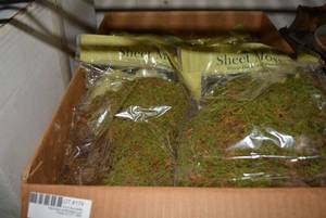lot 174 image: 3 Boxes of Natural Sheet Moss