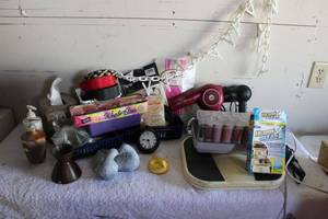 lot 135 image: Bathroom Lot Scale, Hair Dryers, Body Wash Pods, Headbands, Rollers, and Sop Dispensers