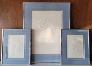 lot 19 image: VINTAGE FRAMED ART BY TEXAN ARTIST CHARLETTE DERSCH KRYSTINICK INCLUDING 82200 MATURATION DATED 1982, SCALLOPS DATED 1984, AND SAND DOLLARS DATED 1984.