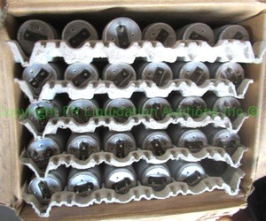 lot 244 image: GE 4ft fluorescent lamp bulbs