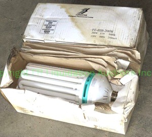 lot 326 image: Longstar compact fluorescent lamp bulbs (2 total)