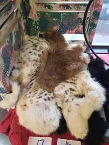 lot 16 image: Animal hides