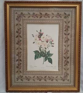 lot 174 image: Framed &amp Matted Print of Rosa Noisettiana by Rosier de Philippe Noisette