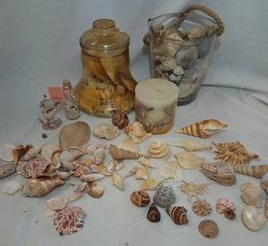 lot 308 image: Sea Shell Decor