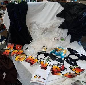 lot 357 image: Halloween Items