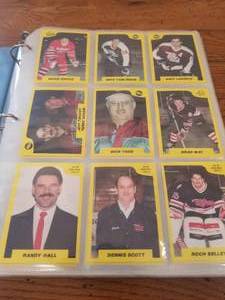 lot 108 image: Binder of Hockey cards  270 cards