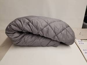 lot 256 image: Weighted twin size blanket