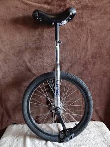 lot 303 image: SUN BICYCLES Unicycle Classic 20 Inch BlackBlack