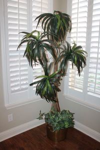 lot 17 image: Over 6 Ft. Tall Artificial Yucca Palm Tree with 4 branches in Brass Pot