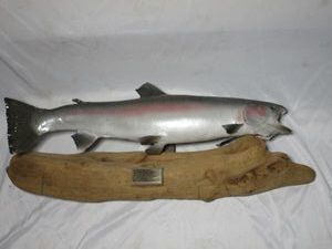 lot 292 image: MOUNTED FISH ON LOG, PLAQUE READS, KEN DAVIS, STEELHEAD TROUT, (SALMO GAIRDAER), FEB 1987, 8 LBS 4 OZS, CLACKAMEE RIVER, PORTLAND OREGON