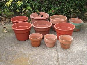 lot 460 image: TERRA COTTA POTS