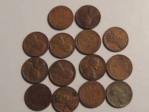 lot 172 image: Wheat Pennies qty 14