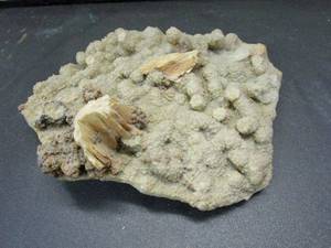 lot 137 image: MINERAL FORMATION
