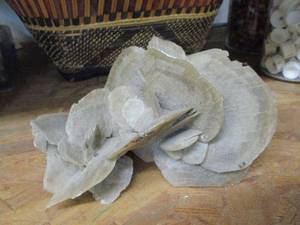 lot 149 image: LARGE DESERT ROSE SELENITE CLUSTER