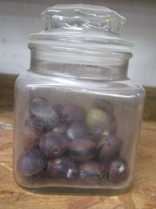 lot 175 image: GLASS JAR WITH WOODEN BEADS. JAR INCLUDED.