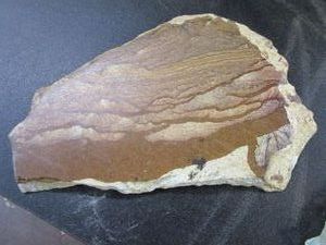 lot 187 image: BROWN ZEBRA JASPER