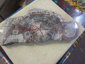 lot 331 image: RAINBOW PETRIFIED WOOD&nbsp