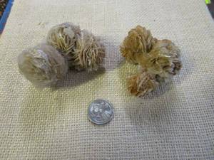 lot 401 image: DESERT ROSE SELENITE CLUSTERS