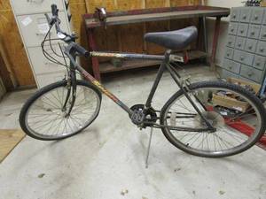 lot 55 image: MENS FREE SPIRIT FASTBACK 12 SPEED,MAY NEED NEW INNERTUBES