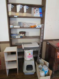 lot 132 image: ALL CONTENTS ON SHELVES AND IN FRONT OF SHELVES, OFFICE SUPPLIES, PET CARRIER, PET SUPPLIES &amp MORE