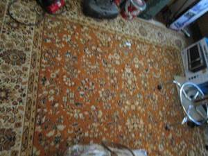 lot 135 image: 9X12 AREA RUG, RUG ONLY