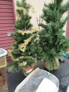 lot 69 image: 2 SMALL PINE Trees and a bag of christmas lights